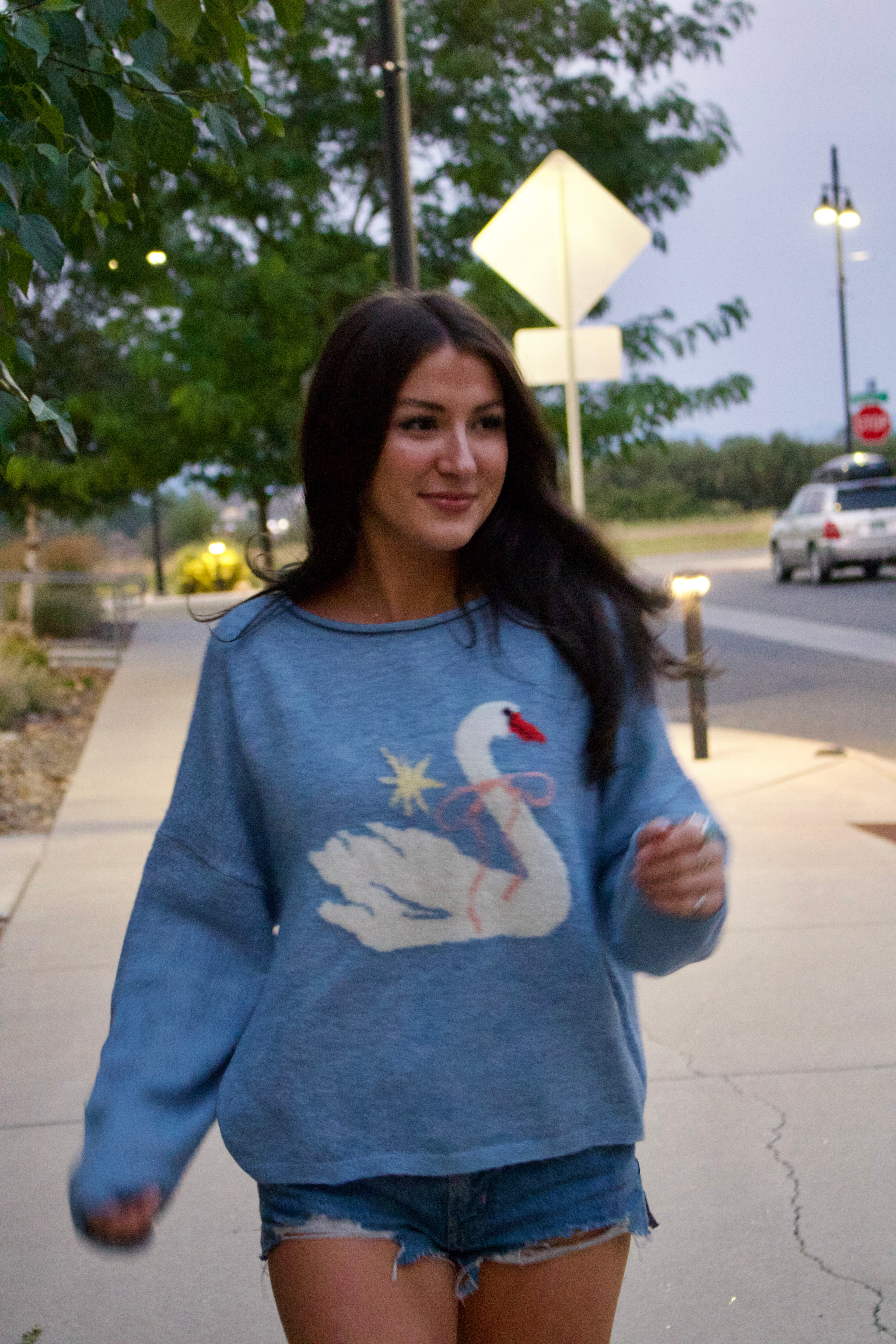 Swan Song Sweater