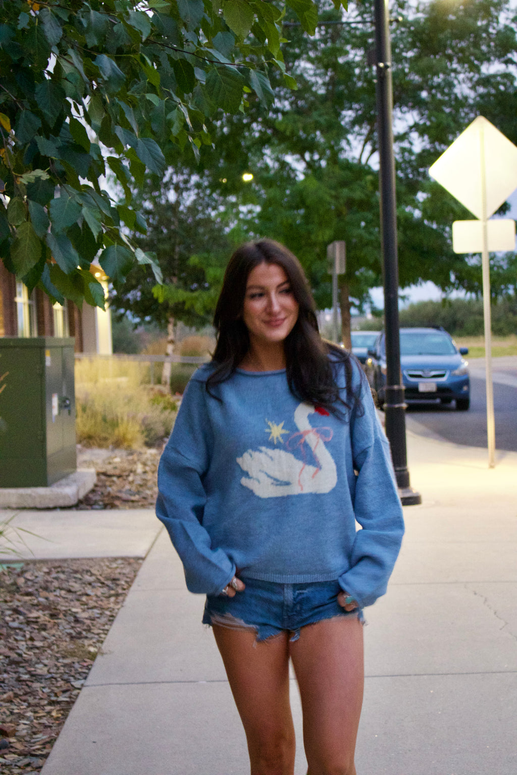 Swan Song Sweater