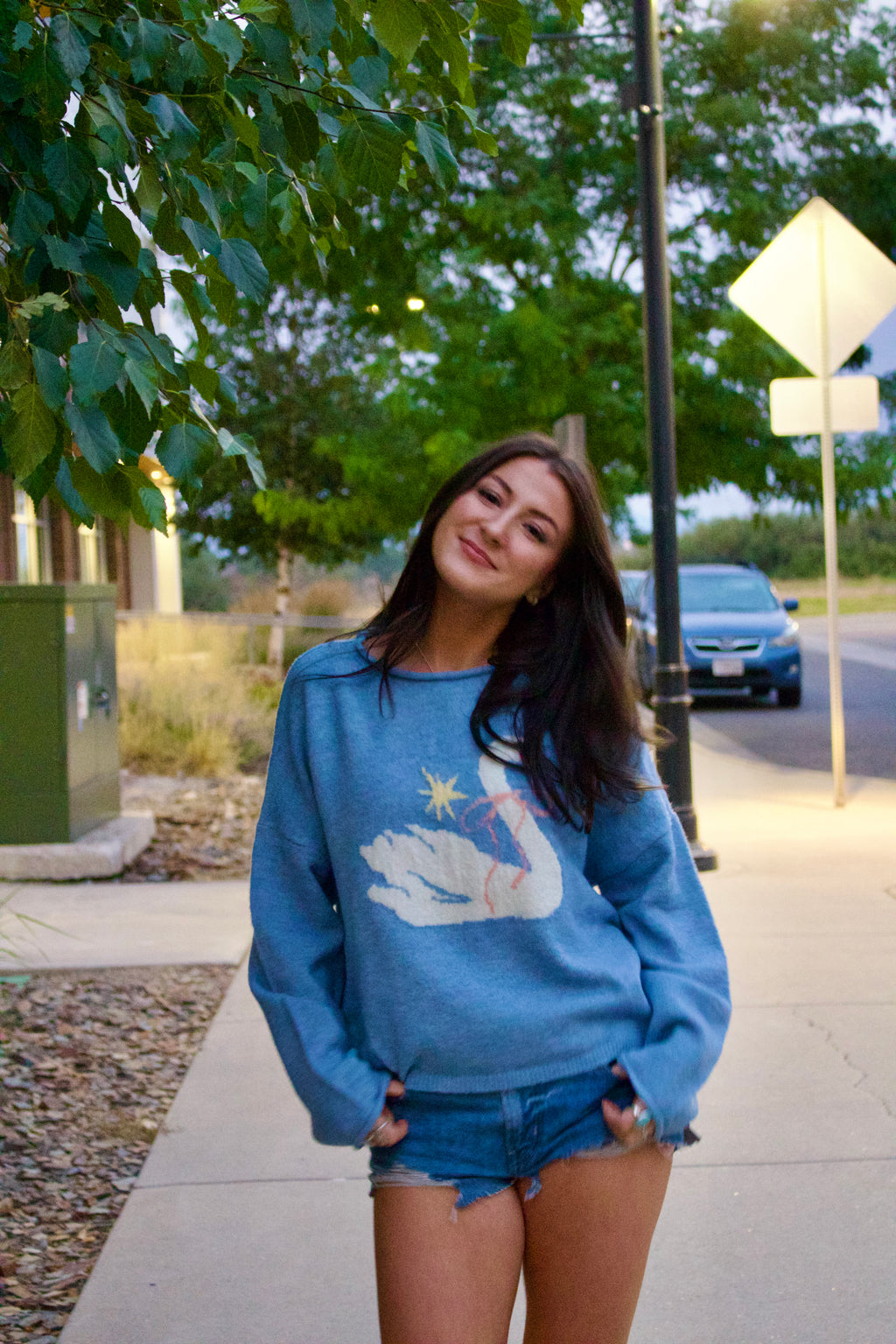 Swan Song Sweater